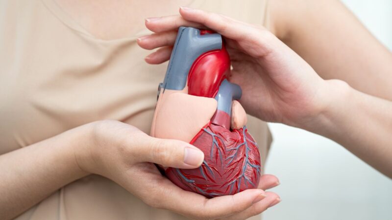 Atrastas netikėtas širdies ligų prognozavimo veiksnys