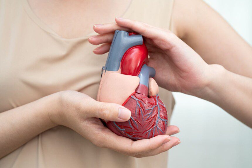 Atrastas netikėtas širdies ligų prognozavimo veiksnys