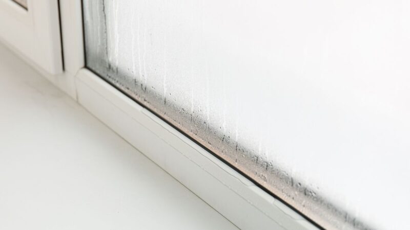 Kaip kovoti su drėgme namuose: paprastas ir pigus metodas