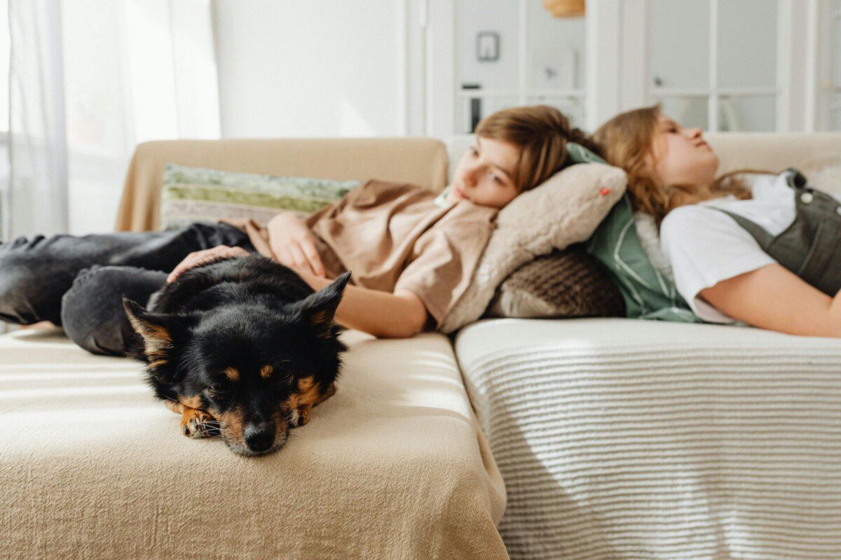 Dirbtiniu intelektu paremti „Samsung“ išmanieji namai keičia rinkos tendencijas