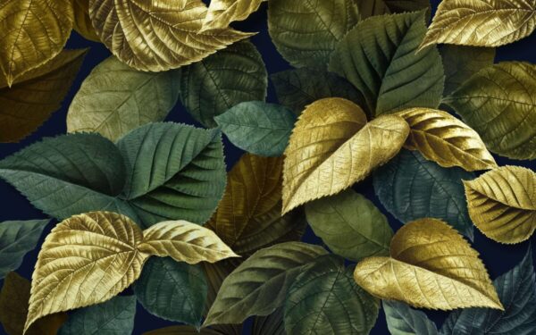 Antradienio augalų vadovas: atraskite dangiškas paslaptis savo horoskopo augalams