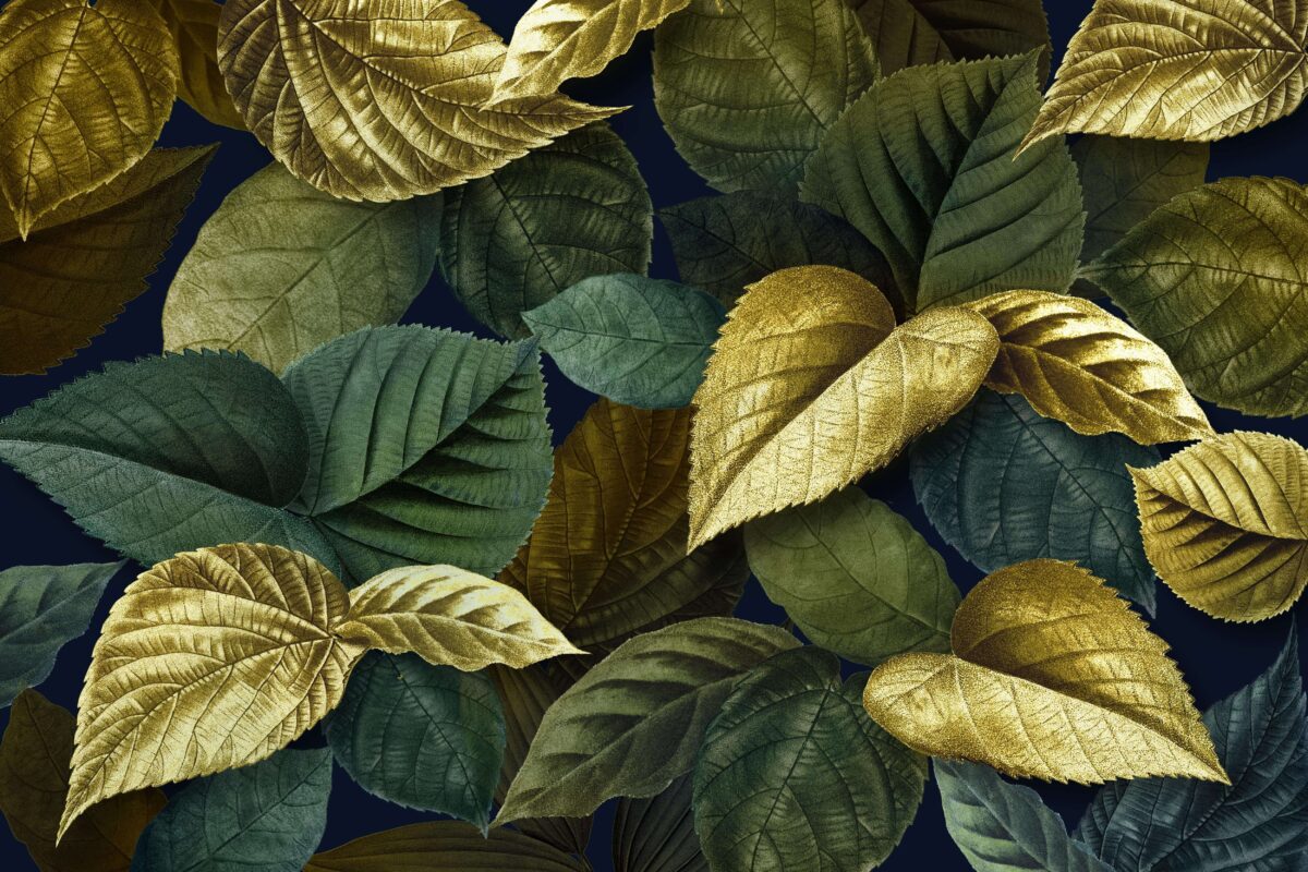 Antradienio augalų vadovas: atraskite dangiškas paslaptis savo horoskopo augalams