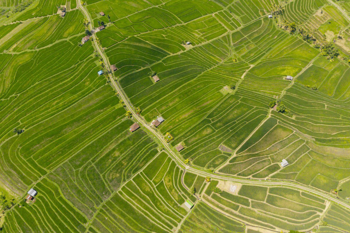 Valstybinė žemė sugrįžta į akiratį: NŽT paviešino sausio duomenis apie ūkininkų aktyvumą