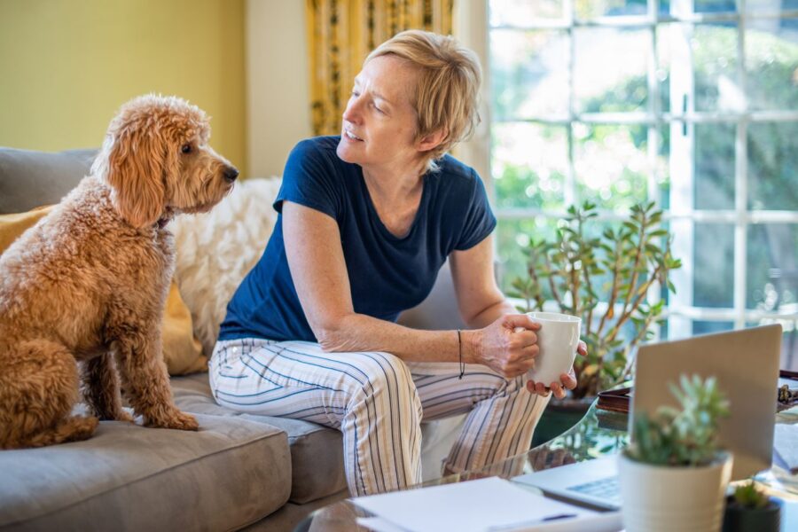 Ar leisti augintiniui ilsėtis ant sofos? Kinologo atsakymas nustebins daugelį