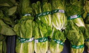 a group of bags of green vegetables