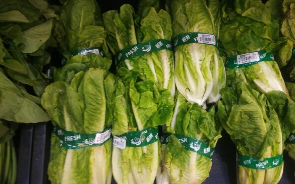 Ši populiari daržovė žiemą gelbsti daugelį: paaiškėjo, kam ją valgyti griežtai draudžiama