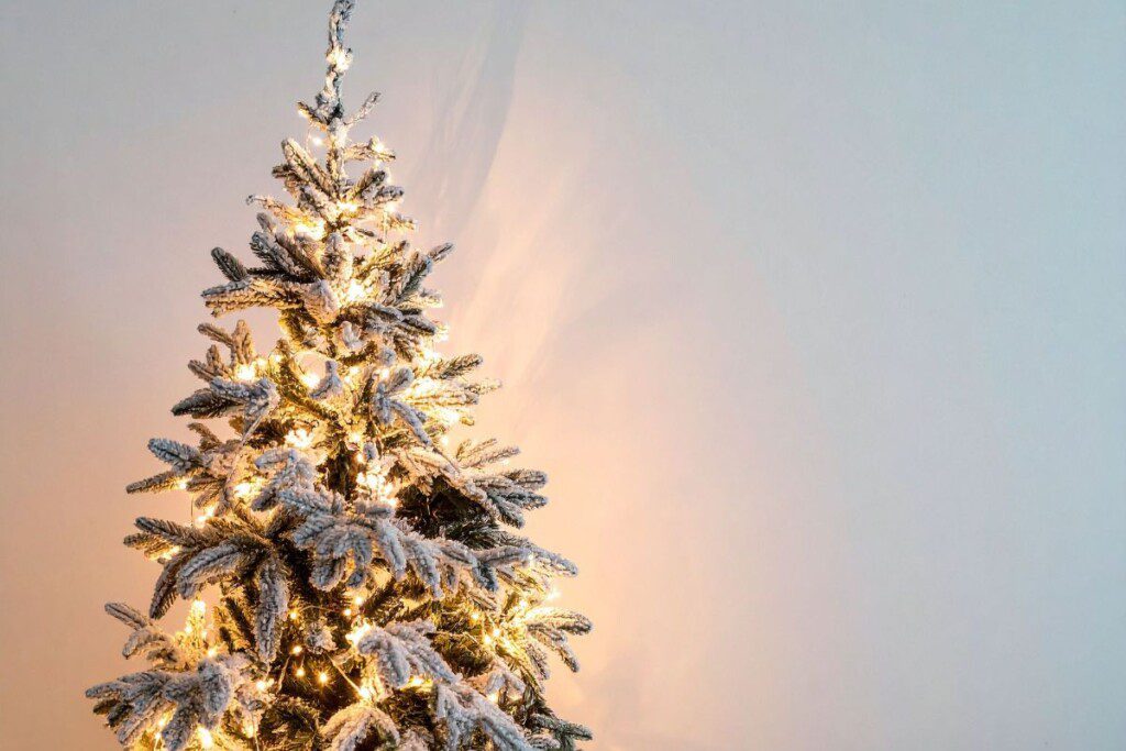 1. Nepasirūpinta eglutės pakavimu