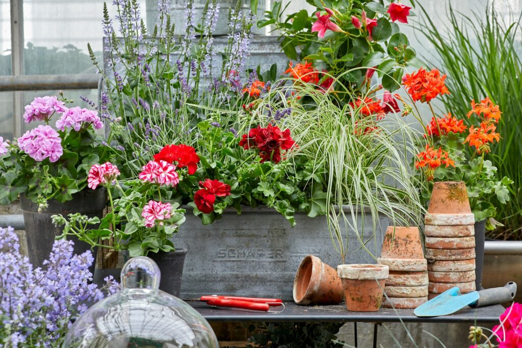 red flowers on brown wooden table