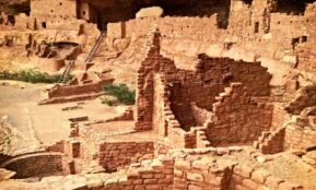 brown concrete buildings