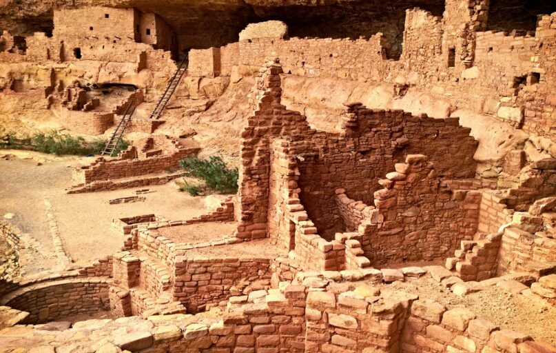 brown concrete buildings