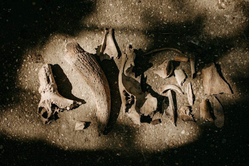 A close up of a broken shoe on the ground