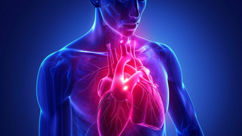 8 širdies ligos požymiai, kuriuos būtina žinoti kiekvienam