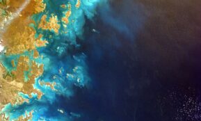 aerial photo of coastline