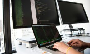 shallow focus photo of person using MacBook