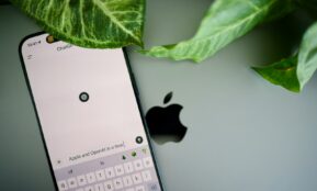 a cell phone sitting next to a green leaf