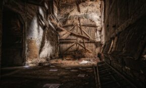 brown wooden door on gray concrete wall