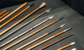 a bunch of different types of paint brushes