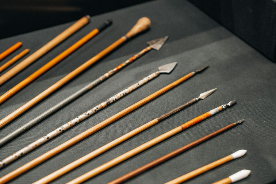 a bunch of different types of paint brushes