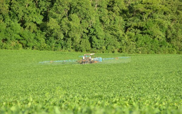 Šis kasdien naudojamas pesticidas gali padidinti Parkinsono ligos riziką daugiau nei 2,5 karto