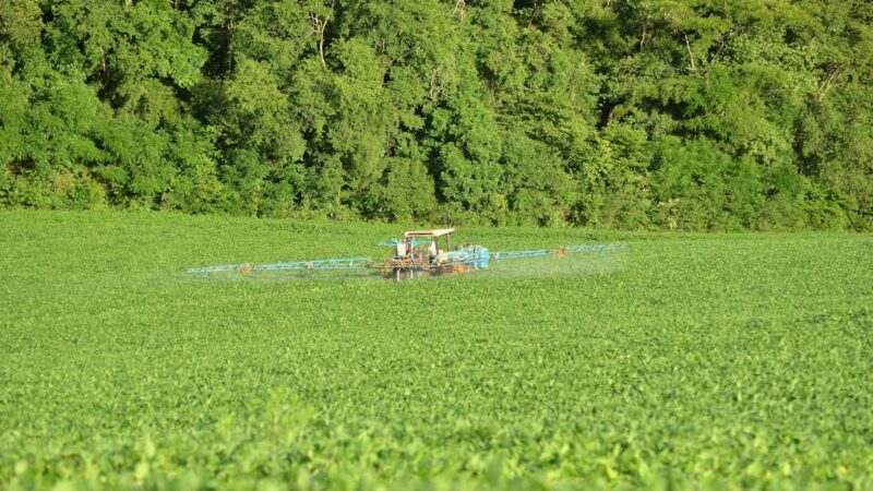 Šis kasdien naudojamas pesticidas gali padidinti Parkinsono ligos riziką daugiau nei 2,5 karto