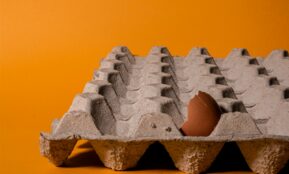 gray and brown stone on brown sand