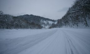 a snow covered road in the middle of a forest