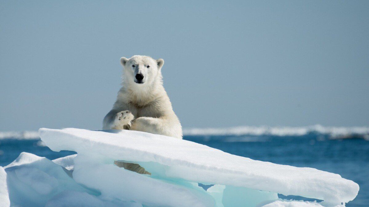 Grenlandija tarp ambicijų ir aljansų: NATO ir Didžioji Britanija traukia kariuomenę į Arktį