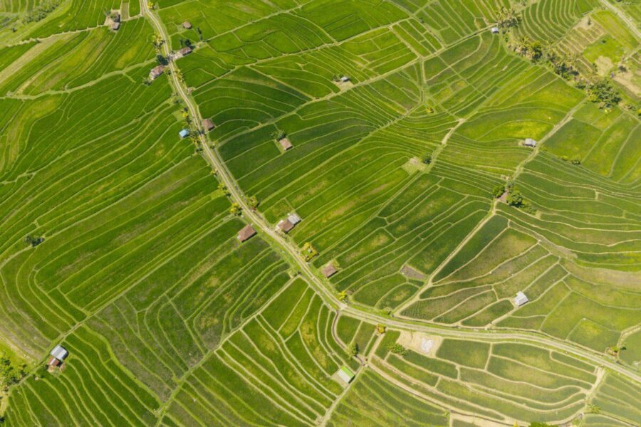Nauji žemės verčių žemėlapiai jau galioja: pasitikrink jau dabar, kiek iš tiesų verta tavo žemė