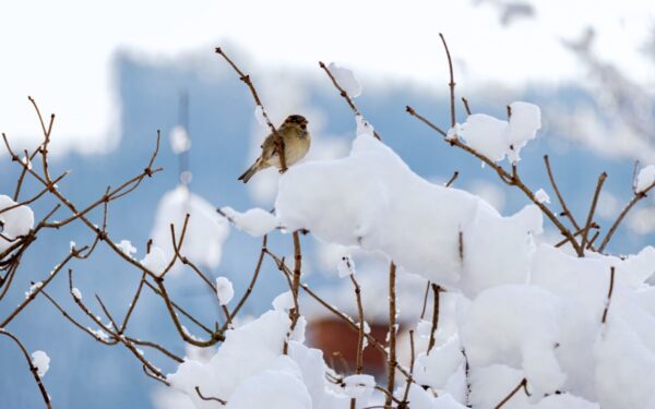 Sausio 22-oji: vardadieniai, Mėnulis ir neskubėti raginantis dienos horoskopas