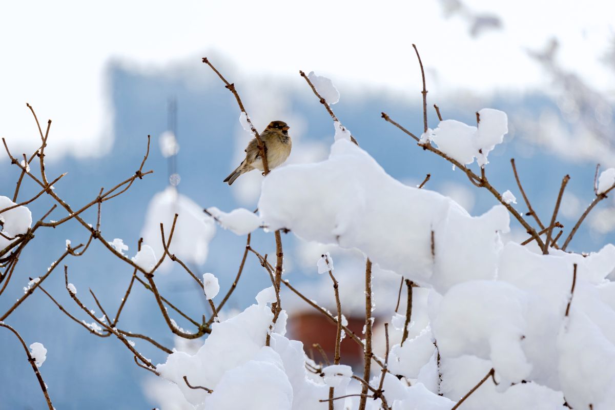 Sausio 22-oji: vardadieniai, Mėnulis ir neskubėti raginantis dienos horoskopas