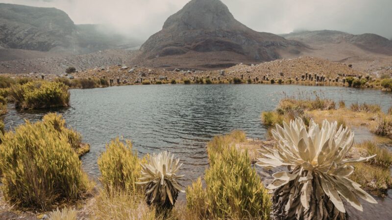 Skrydis be pabaigos: Kolumbijos pasienyje dingo keleivinis lėktuvas