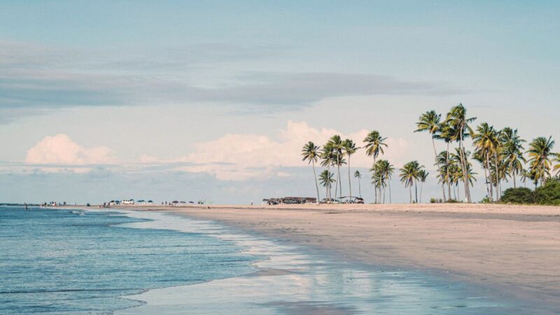 Tragedija turistų pamėgtame paplūdimyje: ryklys mirtinai sudraskė paauglį