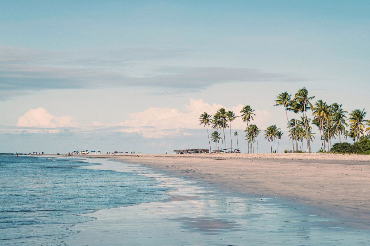 Tragedija turistų pamėgtame paplūdimyje: ryklys mirtinai sudraskė paauglį