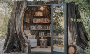 Medžio kelmą pavertė biblioteka – išradinga idėja sužavėjo visus