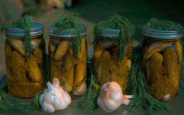 Ar sūrūs agurkai tikrai tinka lieknėjantiems? Pateiktas atsakymas paneigs viską, ką žinojote