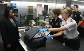 woman in black crew neck t-shirt standing beside woman in white t-shirt