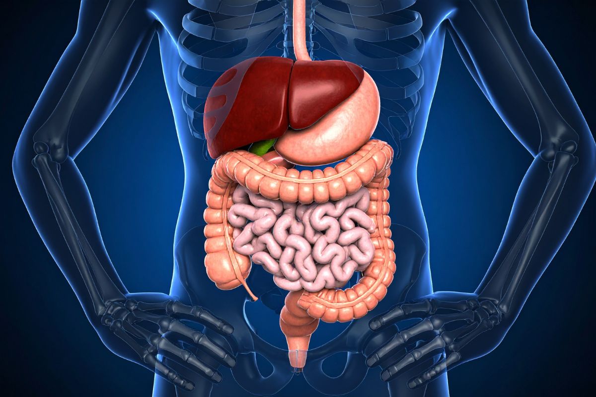 Revoliucija transplantologijoje: 3D spausdintos kepenys suteiks laiko pacientų regeneracijai