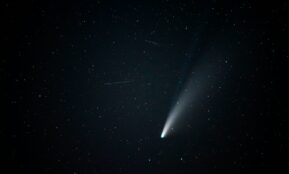 black and white light fixture