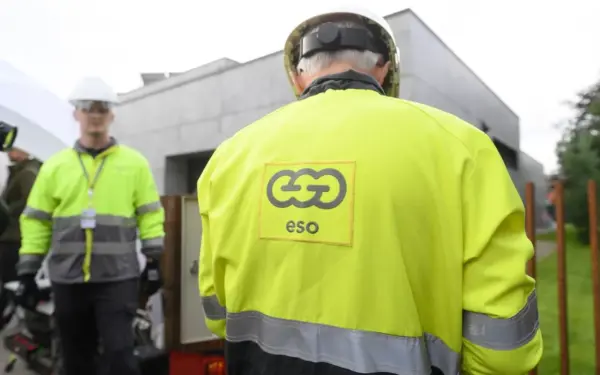 ESO paskelbė svarbias naujienas: šis sprendimas leis sutrumpinti rekonstrukcijų terminus