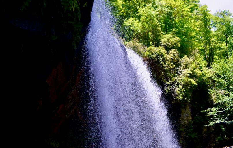 a river with trees on the side
