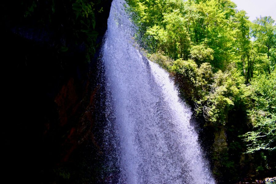 a river with trees on the side