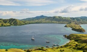 white boat on sea near green mountains during daytime