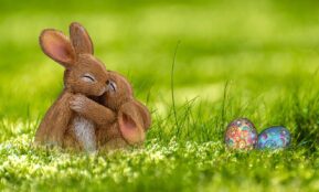 easter, easter bunny, egg, rabbit, spring, greeting card, easter eggs, happy easter, cute, easter figurines, easter decoration, easter festival, meadow, hug, photomontage, composing, fantasy, nature, easter theme, sweet, egg shaped, easter celebration, composition, rabbit ears