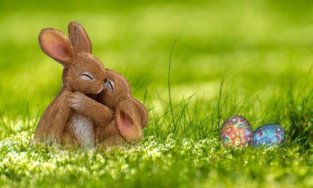 easter, easter bunny, egg, rabbit, spring, greeting card, easter eggs, happy easter, cute, easter figurines, easter decoration, easter festival, meadow, hug, photomontage, composing, fantasy, nature, easter theme, sweet, egg shaped, easter celebration, composition, rabbit ears
