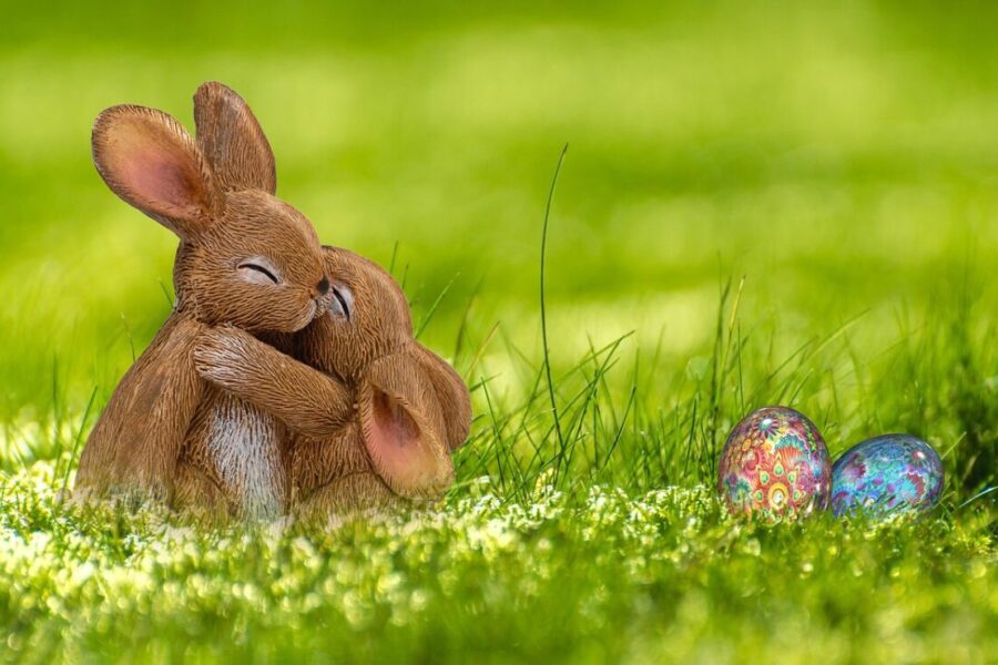 easter, easter bunny, egg, rabbit, spring, greeting card, easter eggs, happy easter, cute, easter figurines, easter decoration, easter festival, meadow, hug, photomontage, composing, fantasy, nature, easter theme, sweet, egg shaped, easter celebration, composition, rabbit ears