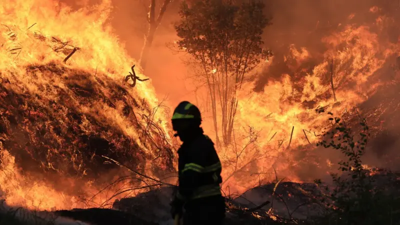 Naktį kilęs gaisras baigėsi tragedija: viena gyvybė užgeso akimirksniu