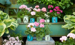 pink and white flowers on blue ceramic vase