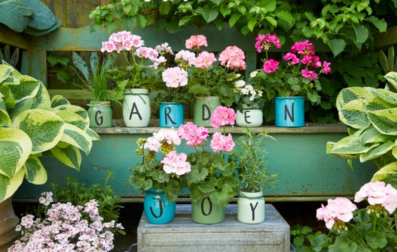 pink and white flowers on blue ceramic vase