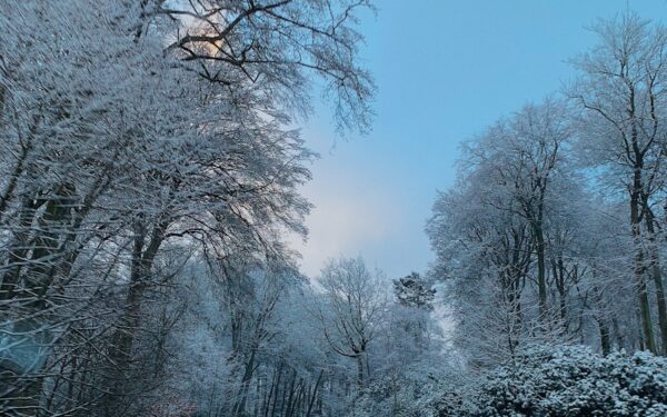 Didžiausias vairuotojų košmaras žiemos metu: toks ledas kasmet pražudo šimtus žmonių