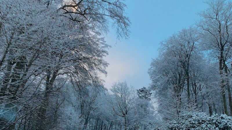 Didžiausias vairuotojų košmaras žiemos metu: toks ledas kasmet pražudo šimtus žmonių